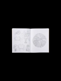 Hot Beautiful Planet Colouring Book Salongbordbøker
