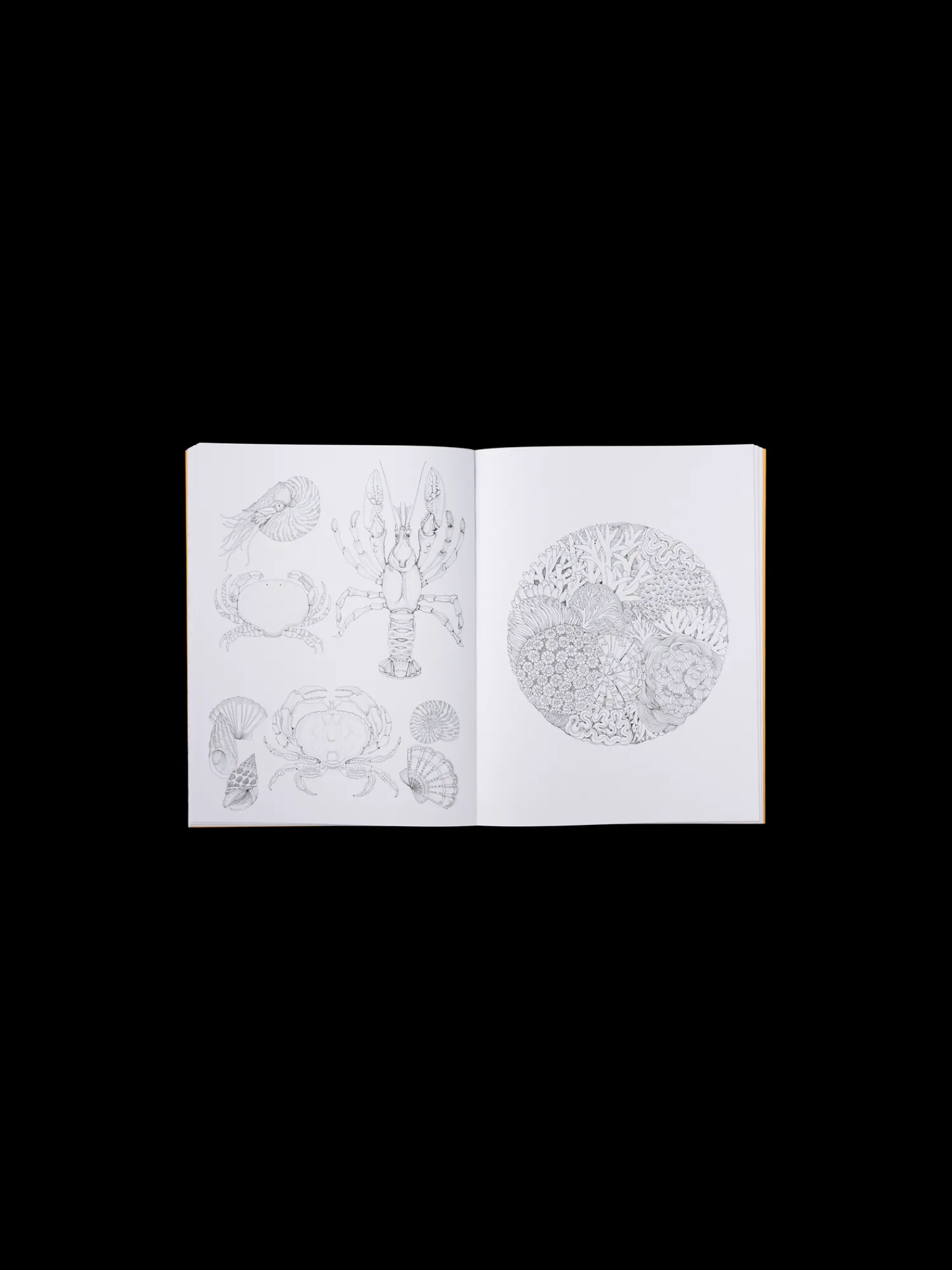 Hot Beautiful Planet Colouring Book Salongbordbøker