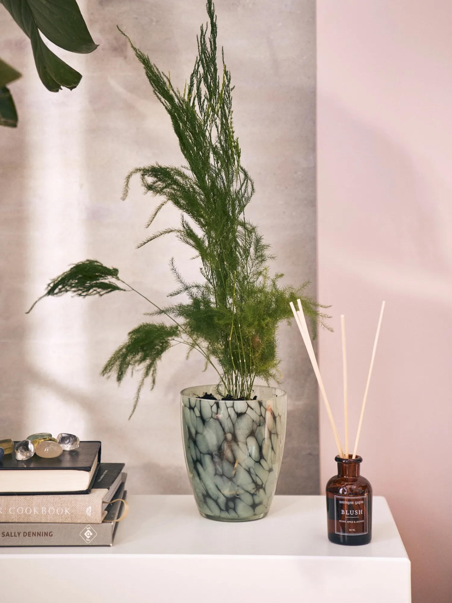 Outlet Blomsterpotte Vaser Og Potter