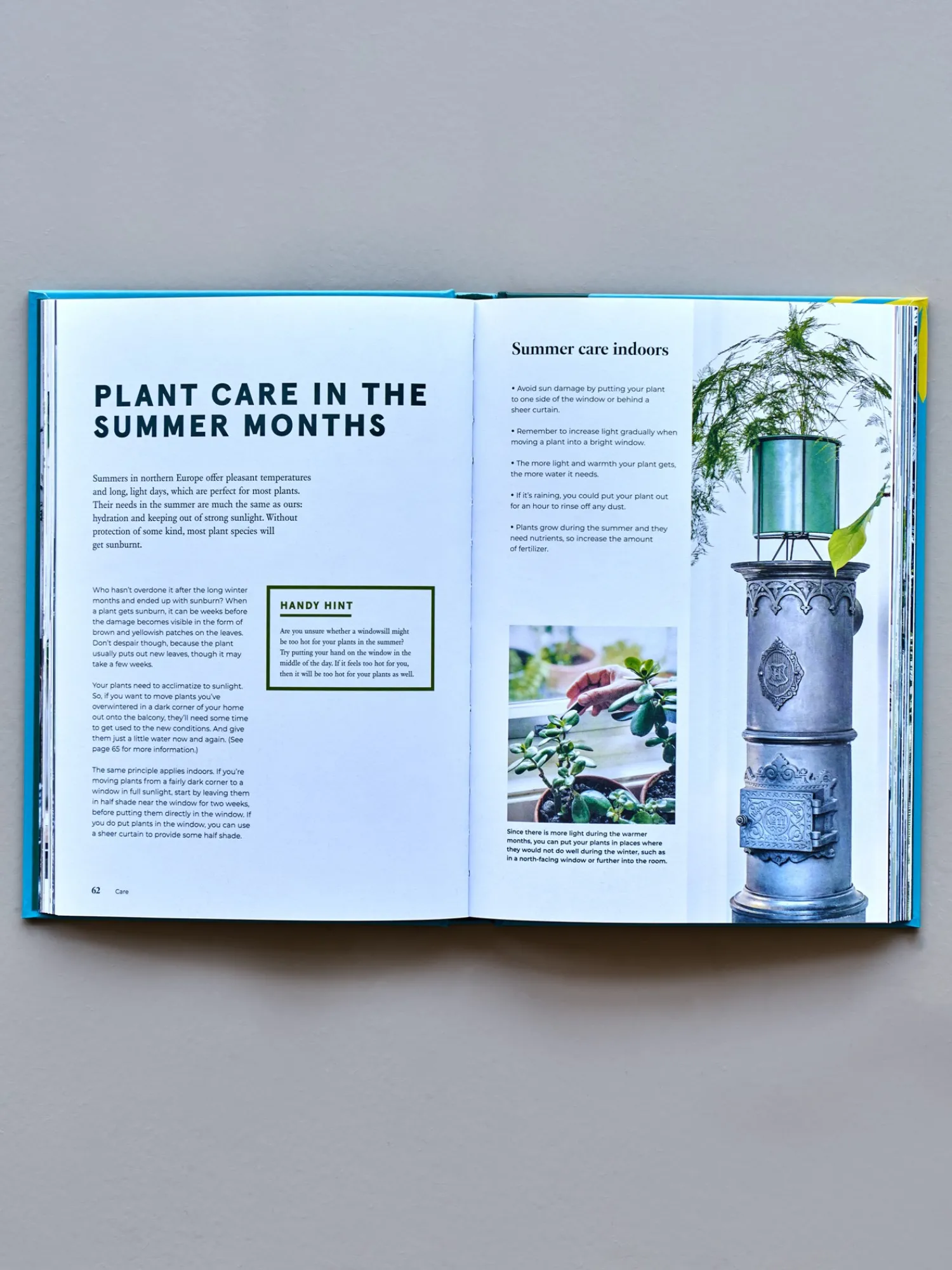 Sale Green Home - The Joy Of Living With Plants Salongbordbøker