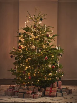 New Juletrestjerne Julepynt|Dekorasjon
