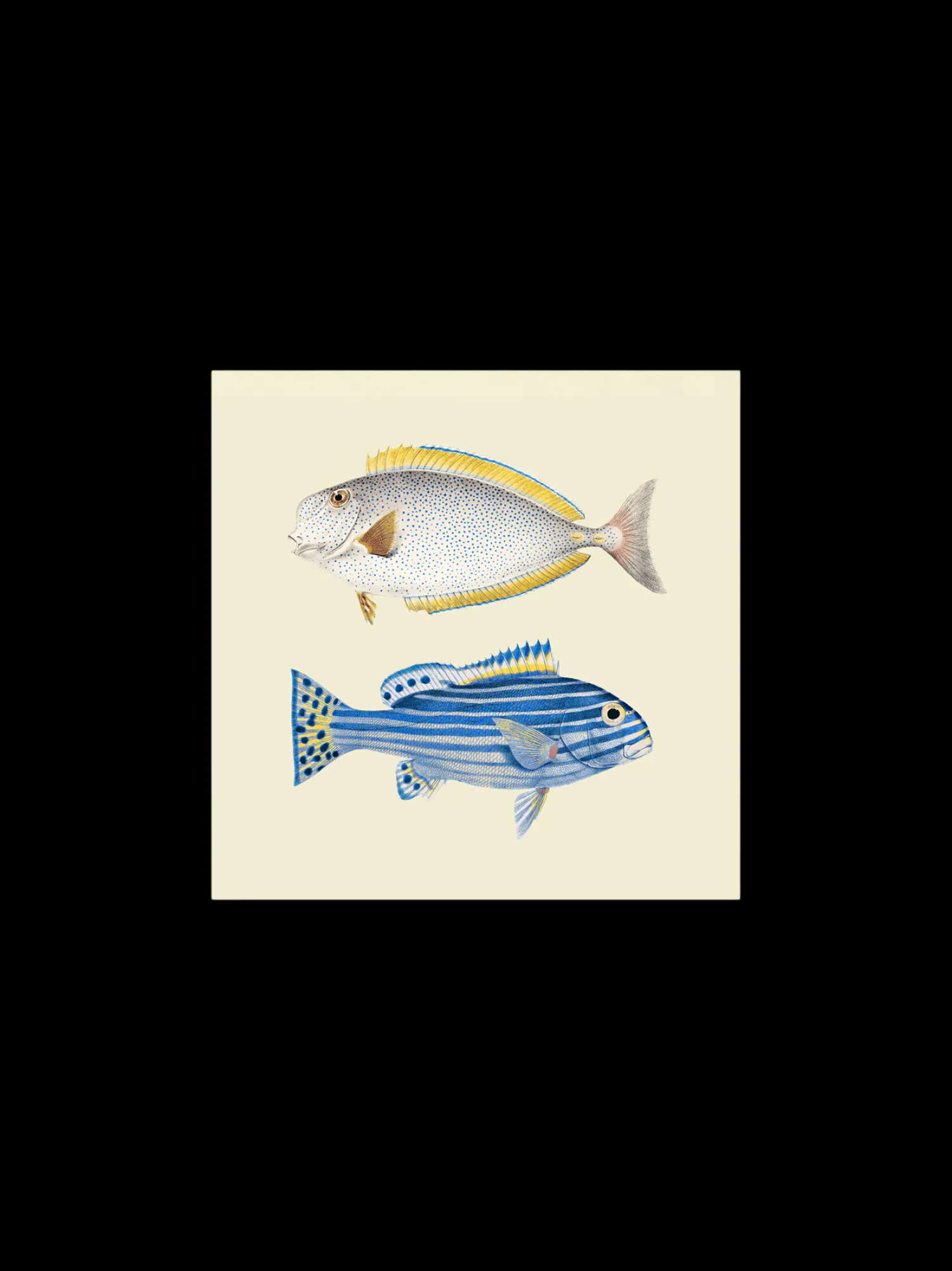 Clearance Plakat 24 X 24 Cm Rammer Og Plakater