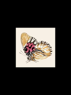 Clearance Plakat 24 X 24 Cm Rammer Og Plakater
