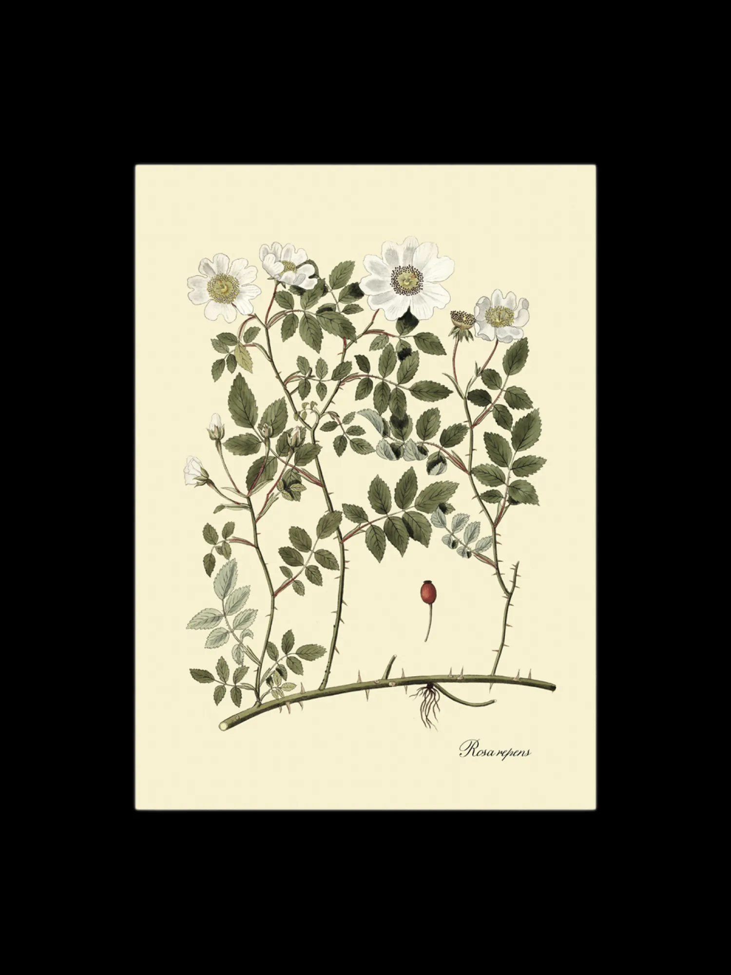 Discount Plakat 50 X 70 Cm Rammer Og Plakater