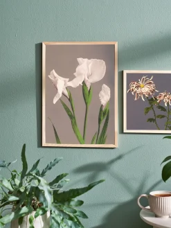 Online Plakat A3 Rammer Og Plakater