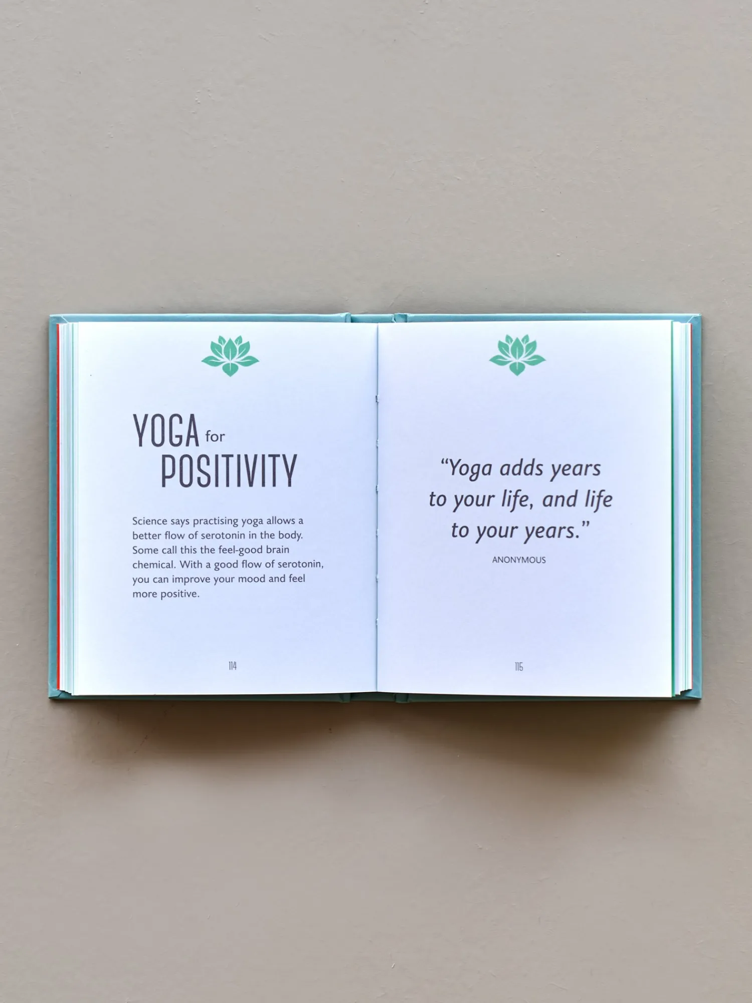 Sale The Little Book Of Yoga Salongbordbøker
