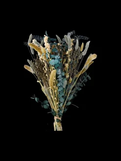 Discount Tørkede Blomster Fiola Medium Dekorasjon