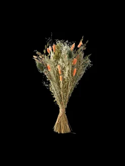 Discount Tørkede Blomster Orange Medium Dekorasjon