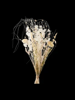 Discount Tørkede Blomster Patricia Medium Dekorasjon