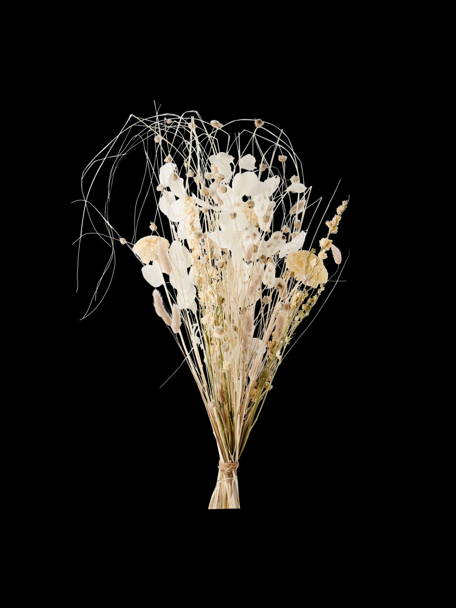 Discount Tørkede Blomster Patricia Medium Dekorasjon